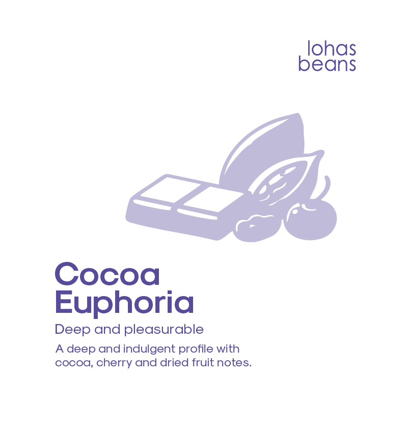 Cocoa Euphoria
